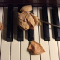 pianoplayer13