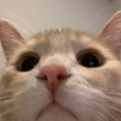 sllurp
