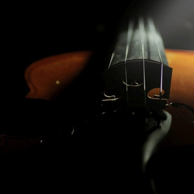 violinzfa