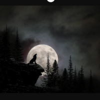 ThatMoonGirl 12