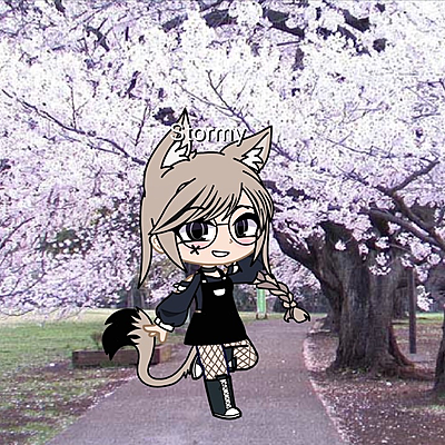 XxstormywolfxX