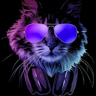 kittkatt