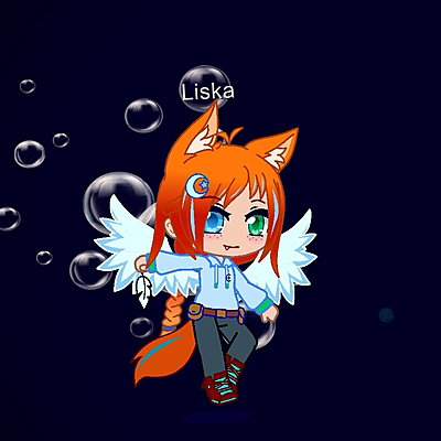 FoxCrafts