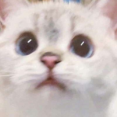 thatvoicehmm
