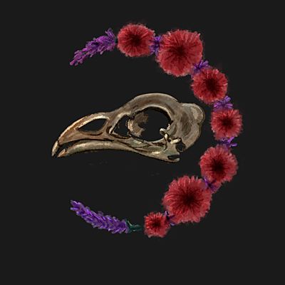 Ara_Mation