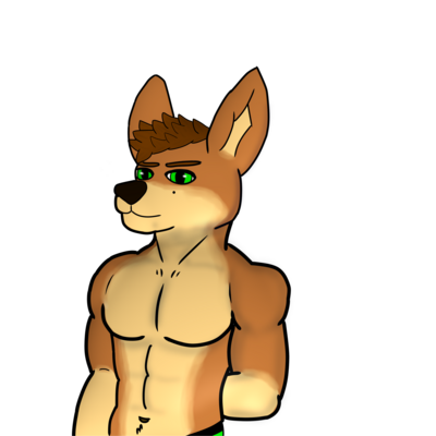 Fennek Volta