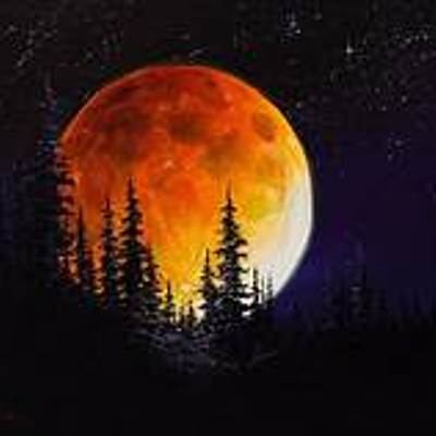 Moonlight_505