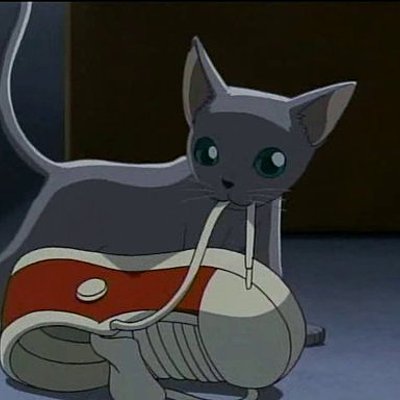 Katze