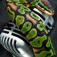 LadySlytherin
