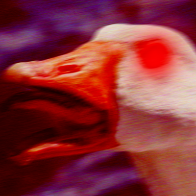 Veh