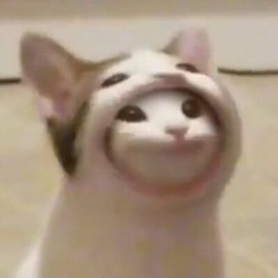 yaiquu