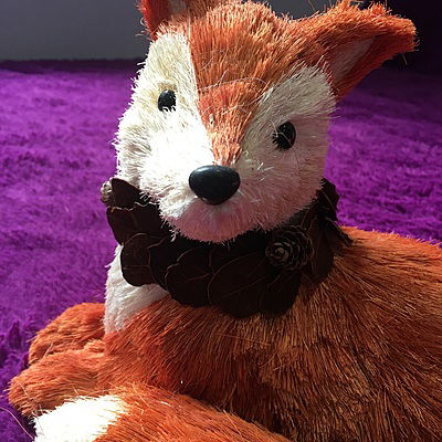 TheAlmightyPlasticFox