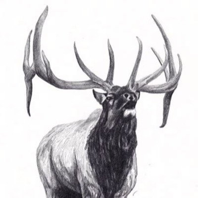 Nullius (OutdoorsmanVocals)