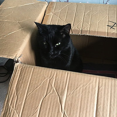 xKittyJewelx