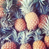 Pineappleunderthesea