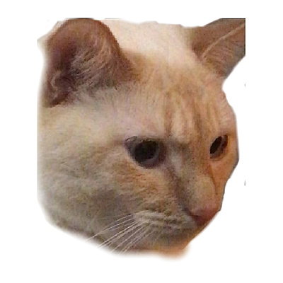 Adam053