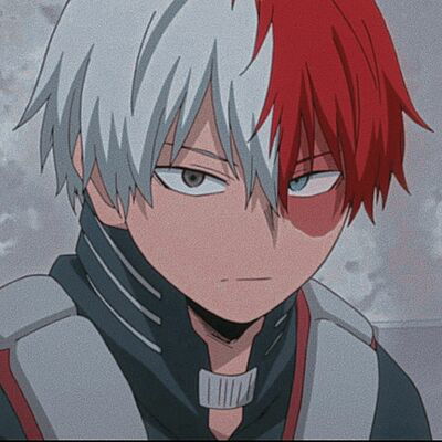 SHOTOTODOROKITHEOFFICIAL