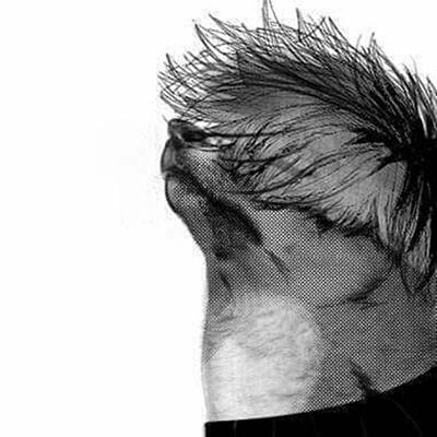 Aesthetically Offensive