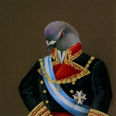 Captain Pigeon