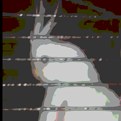 BirdFlox