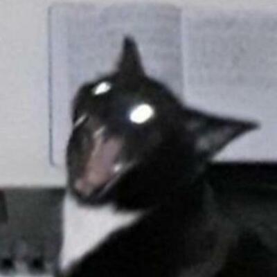 woo
