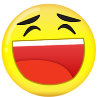 SmilesGirl