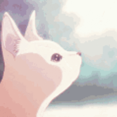 CCcat