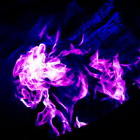 Purplefuzzycatg