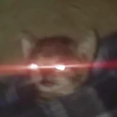 MuZzl3
