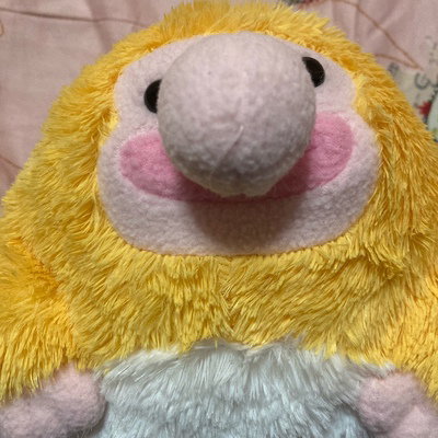 IamSugarMoon