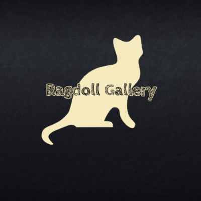Ragdoll Gallery