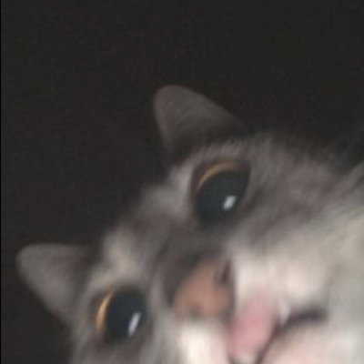 thatsillygoose