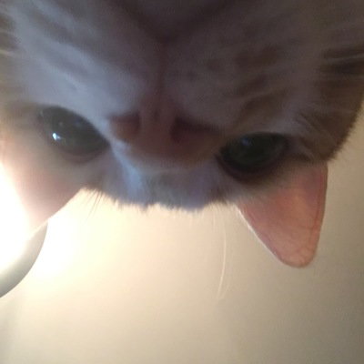 Goobstoob