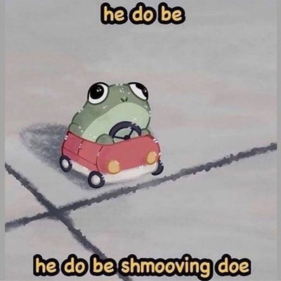 vizoo