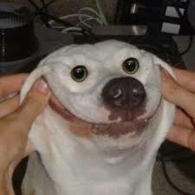 FRIPE0