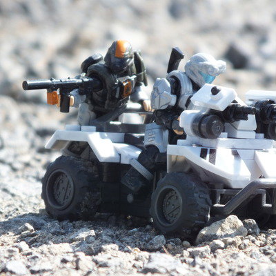 Echo Hawks