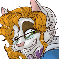 calicocat5