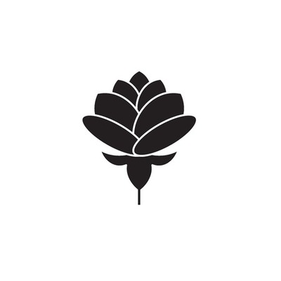 Turquoise-Qrow