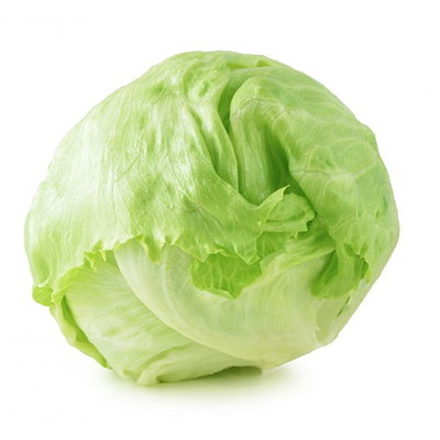 lechuga