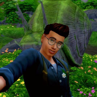 divanthesimmer