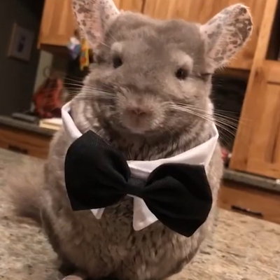 EnigmaCharlie