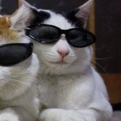 Kitty6765