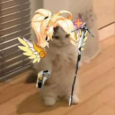 kunkun.idiotka