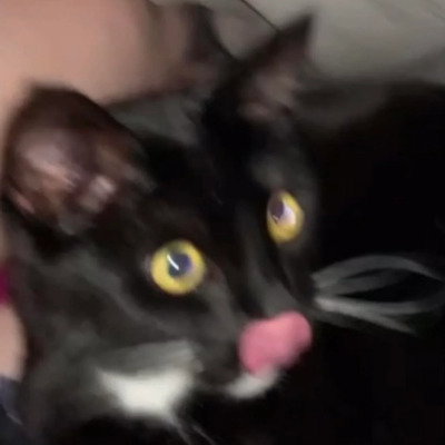 Piuto0_