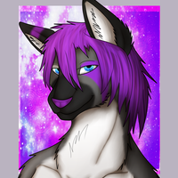 morado