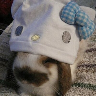 Bunnyalxa