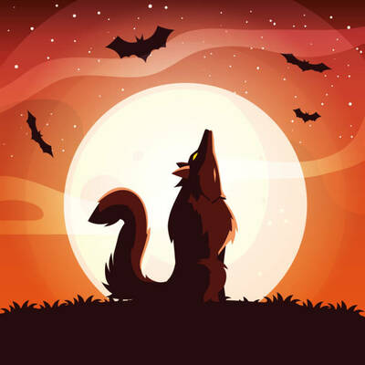 wolfy