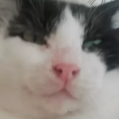 Otuakun