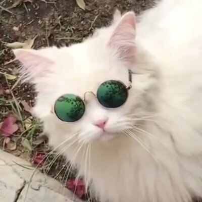 Jegbmf