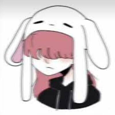 Noosyam_HIPPO